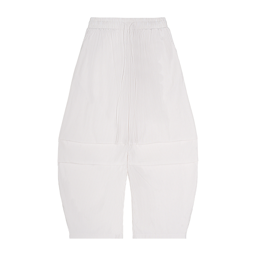 Stripe-1